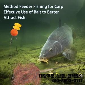 사전 묶인 잉어 낚시 리그 후크가 있는 메소드 피더
