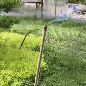 야외 캠핑용 모기 퇴치 쑥 향기 휴대용 여름 리필 야생용 스틱 낚시