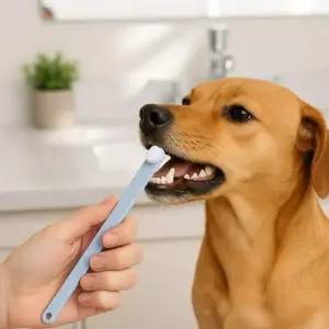 [골드스마일]반려동물 초미세 칫솔 애완동물 위생용품 블루그레이 만모 브러시