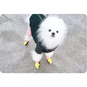 깔끔 모모 강아지신발 숨쉬는 모모슈즈 (핑크) (초소형) 산책 애견슈즈 (48매입)