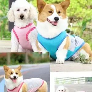 [골드스마일]강아지 쿨조끼 대형견 여름 쿨링 8XL