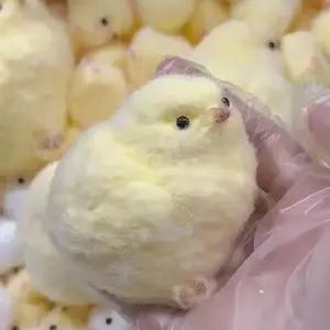 노란 병아리 감성 말랑볼 손놀림 힐링용 촉감놀이 집중력 향상 데스크 소품 귀여운