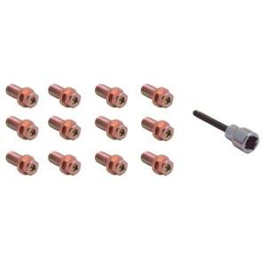 스펙터 퍼포먼스 46703 4인치 헤더 볼트