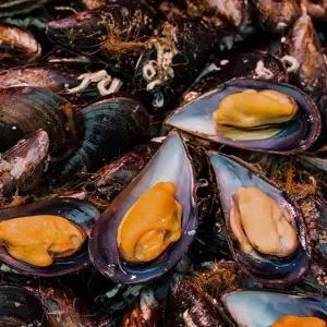 관우농가 통영 홍합자취꿀템 HyC마켓