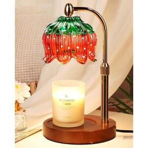 타이머와 희미한 밝기를 갖춘 딸기 캔들 워머 램프, 집 난방 선물 새 집, 기념일을 위한 선물, 여성 엄마를
