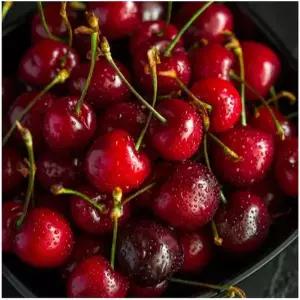 디퓨져  스톤 디퓨저 오일 아로마 오브제 화산석