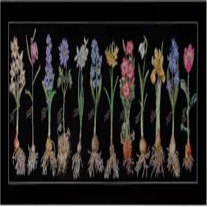 테아 거버너 - 카운트 크로스 스티치 키트 전구 다 블랙 18 자수 DMC 실 및 기타 용품 포함 1087.05