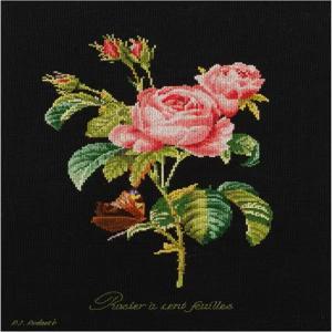 테아 구베르뉴어 - 카운트 크로스 스티치 키트 로즈 레두테 다 블랙 18 자수 DMC 실 및 기타 용품 포함