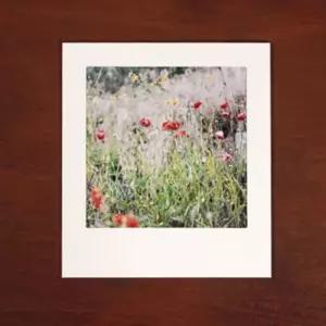 종이액자 5x5 화이트 10장 플래너 앨범 필통 노트 스티커