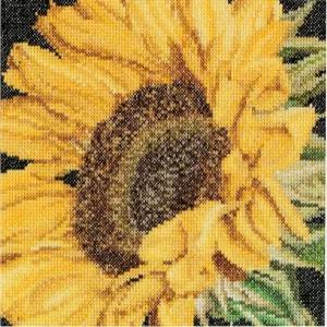 테아 거버너 - 카운트 크로스 스티치 키트 해바라기 다 18 자수 DMC 실 및 기타 용품 포함 488A