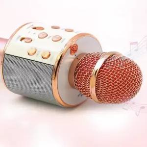 무선마이크 블루투스 가전제품 자광 힐링토이 노래방 마이크 음향기기