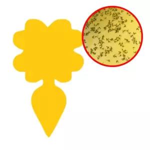 화분 벌레 끈끈이 트랩 초파리 해충 날파리 뿌리파리