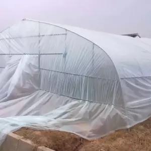 투명 텐트 쉘터 xx21m 타포린 천막 캐노피 비닐