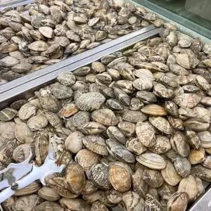 관우농가 남해 활 왕바지락