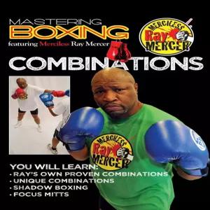 마스터링 복싱 - 조합