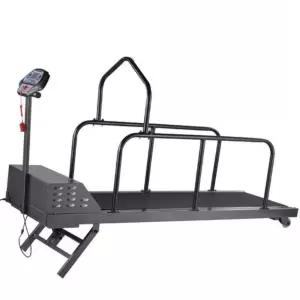 대형견 펫휠 지구력 기타 애완용 런닝머신 강아지 저소음