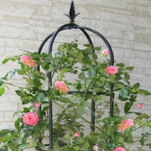 아우얼스룸 대형 오벨리스크 철제 식물지지대 넝굴 아치 장미