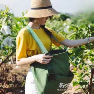 수확용 가방 과수원 열매따기 수확가방 바구니 천가방