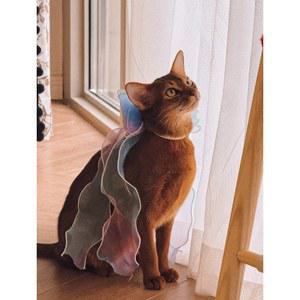 오 리본 망토 반려견 파티 반려묘 고양이 액세서리 촬영용