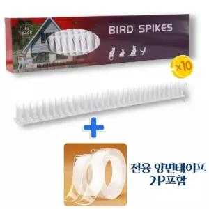 버드스파이크 비둘기차단 베란다 실외기 난간 조류 퇴치 깃털 똥 예방