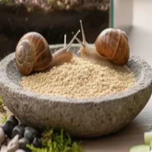 에스와이 달팽이사료 달팽이먹이