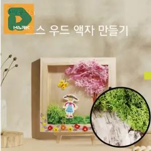 모스액자 만들기 유치원 소품 유아 학교 체험 교실 꾸미기 장식 나무 사진 학습 탁상 미술 공예 교구 재료