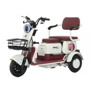 프리미엄 전동 삼륜 전기자전거 노인 성인용 삼발이 800w 72v20a 주행약55km B