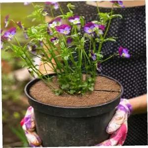 화분 흙덮개 코코넛섬유 원형 멀칭 10p 수분증발 방지 분갈이 관엽식물 다육이