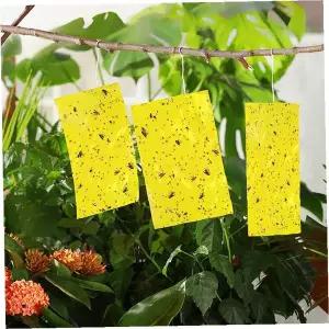 노란색 끈끈이트랩 20X25 날파리 진딧물 포획 베란다텃밭 실내화분 해충방제