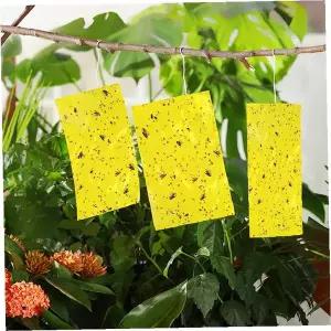 대형 노란색 양면 점착 트랩 실내 화훼 재배 날벌레 진딧물 포획 방제 용품
