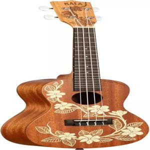 칼라 트래블 가든리아 콘서트 우쿨렐레