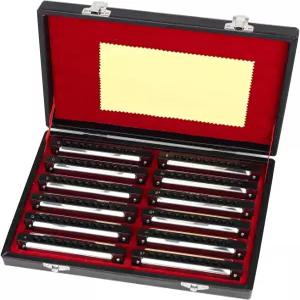 스완 하모니카 10홀 블루스 세트 7/12음계 선물 상자 마우스 오르간 초보자