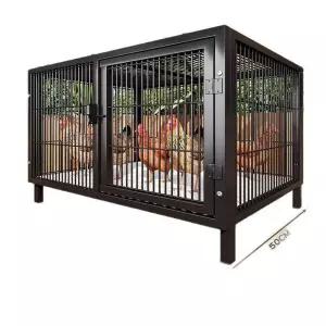 야외 치킨 케이지 루틴 먹이 상자 비둘기 잡기 인공물 오리 특별 자동 계란 컬렉션