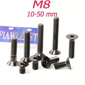호환  FLAWLESSTI M8x12-45 mm Gr5 티타늄 볼트 접시 머리 볼트