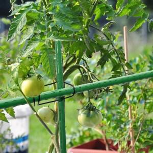 20개 정원 격자 클립 금속 식물 덩굴 말뚝 연결 장치 등반 프레임 토마토 오이 채소 지지대