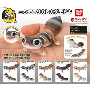 피규어 게코 케스티드 가챠 이 거들 개코 곤충 10cm 렙티 도마 생물대도감