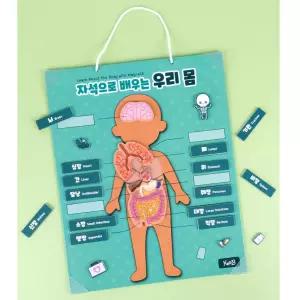 자석 어린이 과학 학습교구 우리몸 퍼즐 어린이장난감