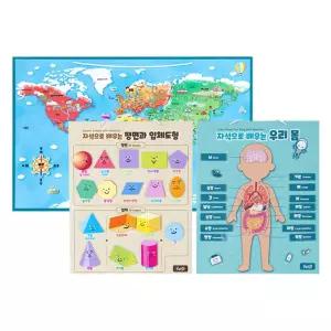 자석벽보 입체벽보 우리몸 세계탐험 학습놀이 두뇌