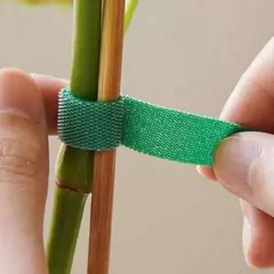 [골드스마일]원예 지지대 식물 고정 밴드 10m 홈가드닝 타이