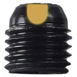 스페셜티 양궁 1/4 u201D 조리개 W /#.5 클리어라이저 (골드)