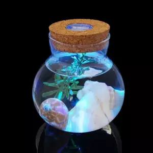 마리모 키우기 LED 유리병 수경 반려식물 유리공병 마리모키우기 마리모병 마리모어항