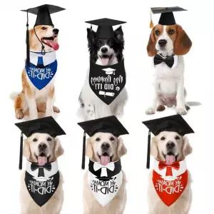 강아지 퍼피스쿨 스카프 졸업가운 모자세트 모자 세트 테마의상 모자 스카프