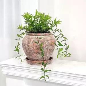 [콩심팥심]빈티지 토분 테라코타 화분 미니 정원 꽃 심기용 소품 17x20cm