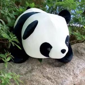 [에이치플러스몰]캐릭터 인형 방석 소품 학생용 휴식용품 귀여운 디자인