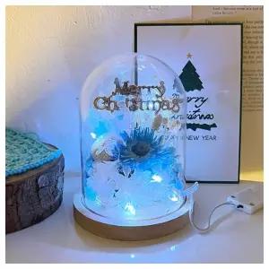 수업교구- 원예활동 프리저브드 겨울꽃 아크릴돔 만들기 1인 패키지