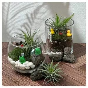 수업교구- 원예활동 작은 숲 이끼 비바리움 만들기 4인 개별패키지