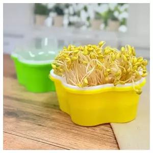 미술교구- 관찰학습 우리집 미니 가든 콩나물 키우기 시루