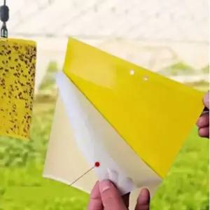 초파리트랩 양면 20X25 10P 노란끈끈이 축사파리 비닐하우스