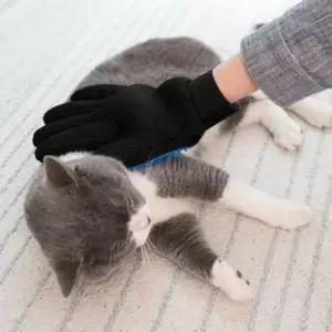 펫브러쉬 고양이 털 브러쉬 장갑 털갈이 제거 글러브 대형견