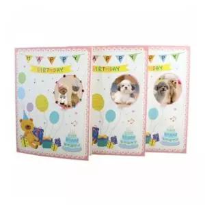 [문구/오피스] 글로벌이지 뚝딱 생일 카드 만들기 10인용 세트